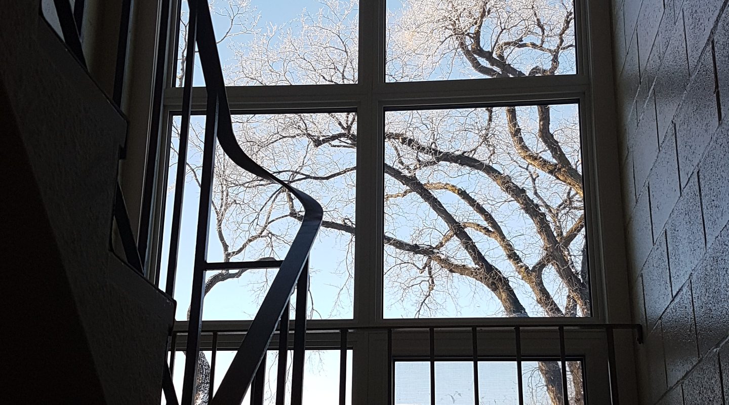 Window or Window
